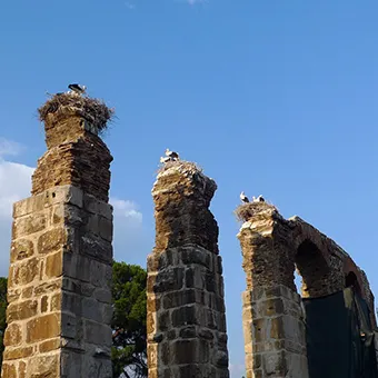 Storks nesting on top of tall but old stone columns